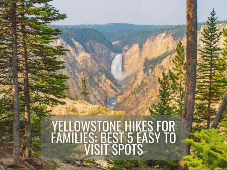 view of Grand Canyon of the Yellowstone with title Yellowstone Hikes for Families: Best 5 Easy to Visit Spots