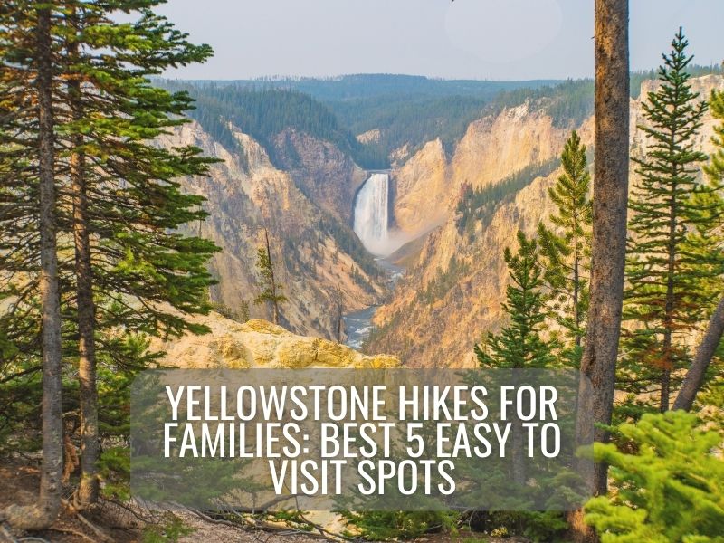 view of Grand Canyon of the Yellowstone with title Yellowstone Hikes for Families: Best 5 Easy to Visit Spots