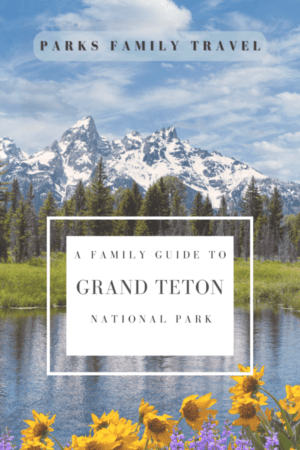 Grand Tetons with wildflowers and lake