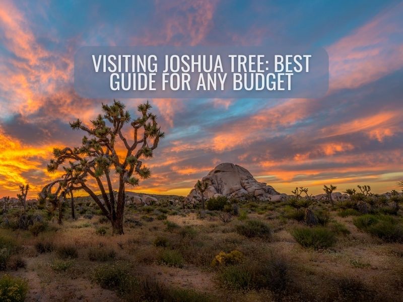 Joshua Tree at Sunset with text Visiting Joshua Tree: A Guide for Any Budget