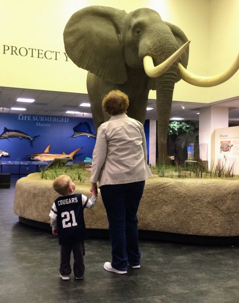 My son and his grandma at a local museum looking at a replica of an elephant