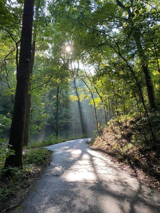 Sun rays through trees on one of the hiking trails at Lost River Cave in Kentucky