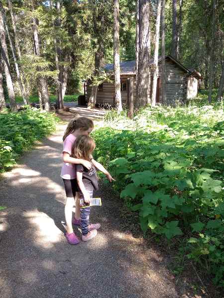 My two daughters looking at plants along the trail to the Apgar Nature Center cabin located in the background of the photo