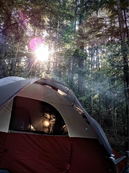 The sun peeking through the trees behind our tent at Fish Creek Campground in Glacier National Park