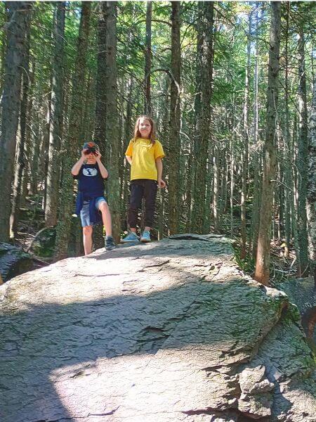 My son and daughter stand on a large rock in the middle of a dense forest during the Avalanche Lake hike. My daughter, in a yellow shirt, smiles at the camera, while my son, in a blue shirt, looks through binoculars. Tall trees surround them, creating a shaded, woodsy atmosphere.