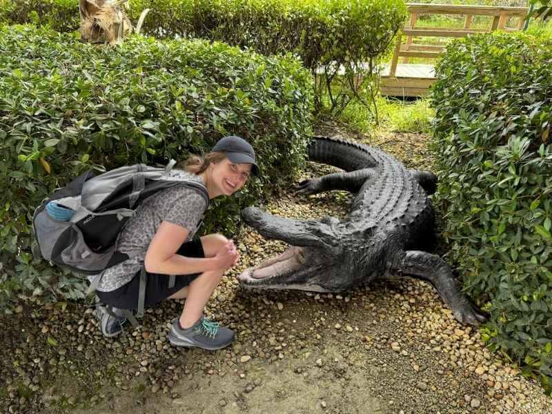 Me squatting next to a fake open-mouthed alligator at Everglades National Park