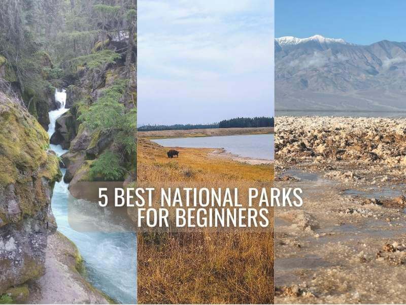 Three pictures side by side with the post title "5 Best National Parks for Beginners" across the front. The first picture is of a small waterfall surrounded by rocks and vegetation along the Trail of the Cedars in Glacier. The middle picture is a bison in a yellow-brown field with a large pond behind it in Yellowstone. The picture on the right is of the salt deposits at Badwater Basin in Death Valley.