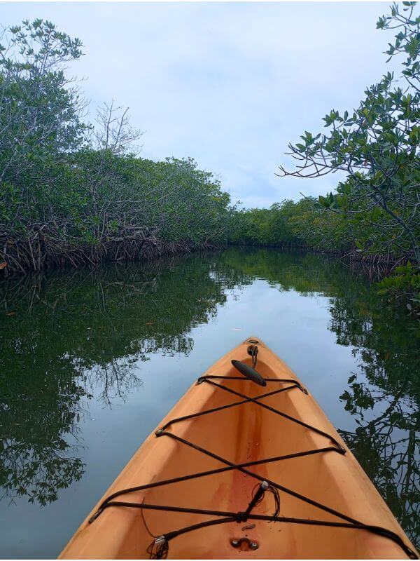 Orange kayak on a river between groves of mangrove trees in Biscayne National Park