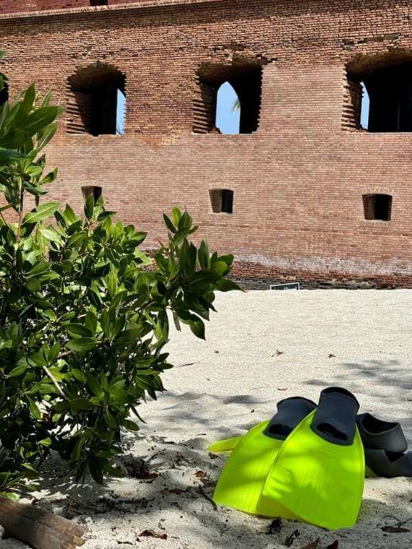 Bright yellow swim flippers for snorkeling sitting in the sand next to a bush all in front of Fort Jefferson at Dry Tortugas National Park